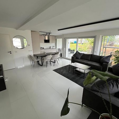 2 Moderne Wohnung Nahe Museum Sinsheim Esterno foto